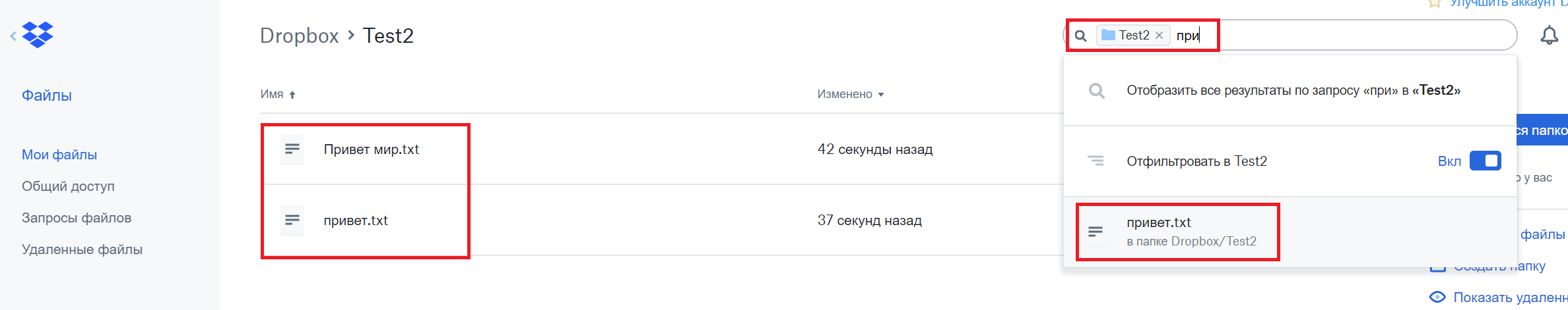 DropBox bug capital letters.png